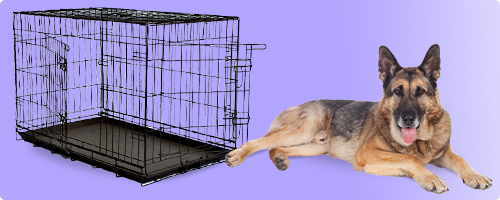 Cage de transport pour chien